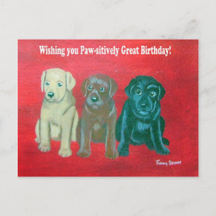 Labrador Happy Birthday Kaart