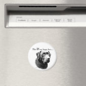 Labrador Happy Face Magneet (Insitu (Vaatwasser))