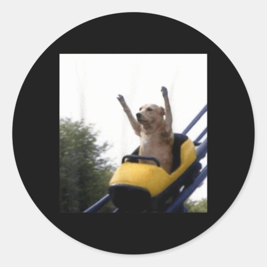 Labrador-hond achtbaan grappige meme ronde sticker (Voorkant)