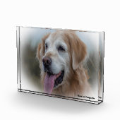 Labrador hond. fotoblokken (Rechts)