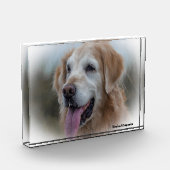 Labrador hond. fotoblokken (Links)