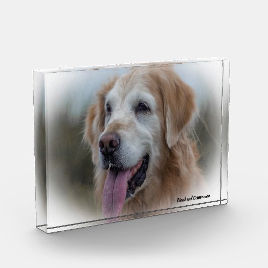 Labrador hond. fotoblokken (Links)