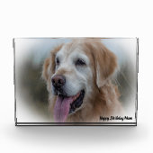 Labrador Hond Fotoblokken (Voorkant)