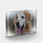 Labrador Hond Fotoblokken (Links)