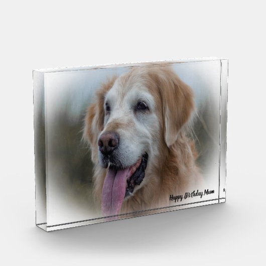 Labrador Hond Fotoblokken (Links)