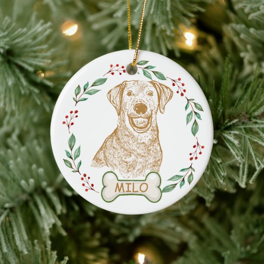 Labrador hond gepersonaliseerde hand tekening keramisch ornament (Boom)