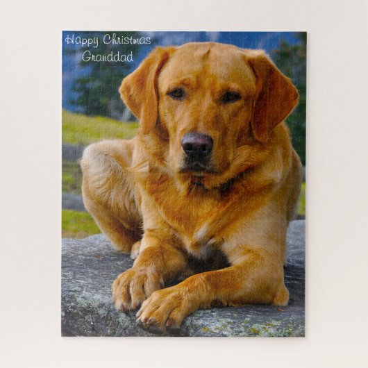 Labrador hond. legpuzzel (Verticaal)