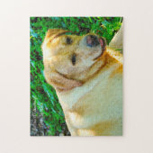 Labrador hond. legpuzzel (Verticaal)