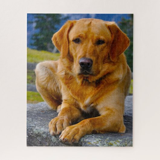 Labrador hond. legpuzzel (Verticaal)
