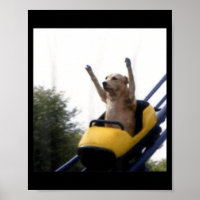 Labrador-hond Roller Coaster Grappige Meme