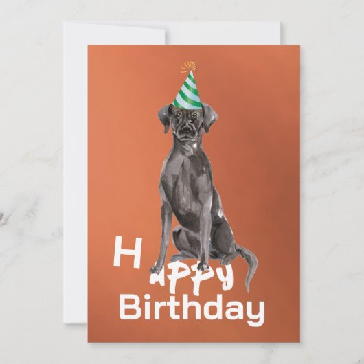 Labrador hond verjaardagsfeestje uitnodiging (Voorkant)