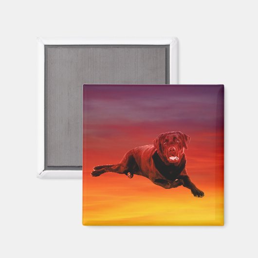 Labrador Hond Zittend op het strand Magneet (Voorkant / Achterkant)