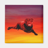 Labrador Hond Zittend op het strand Magneet (Voorkant)