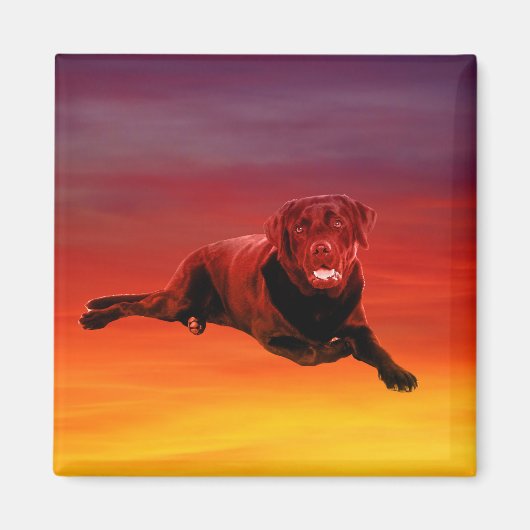 Labrador Hond Zittend op het strand Magneet (Voorkant)