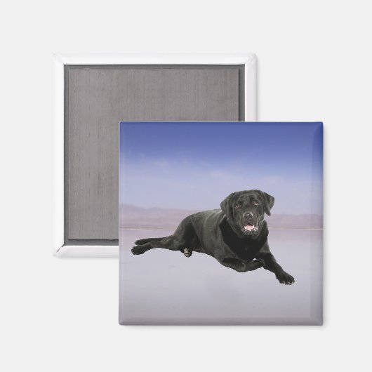 Labrador Hond Zittend op het strand Magneet (Voorkant / Achterkant)