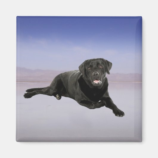 Labrador Hond Zittend op het strand Magneet (Voorkant)
