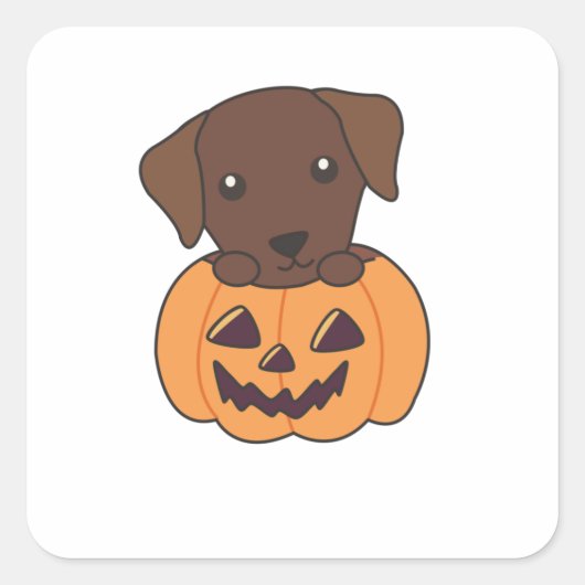 Labrador in Pumpkin Cute Dogs Happy Halloween Vierkante Sticker (Voorkant)