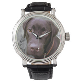 Labrador Jimmy -.- Horloge
