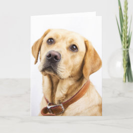 Labrador Kaart
