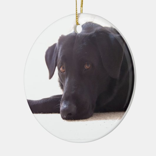 labrador keramisch ornament (Links)