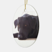 labrador keramisch ornament (Links)