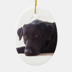 labrador keramisch ornament