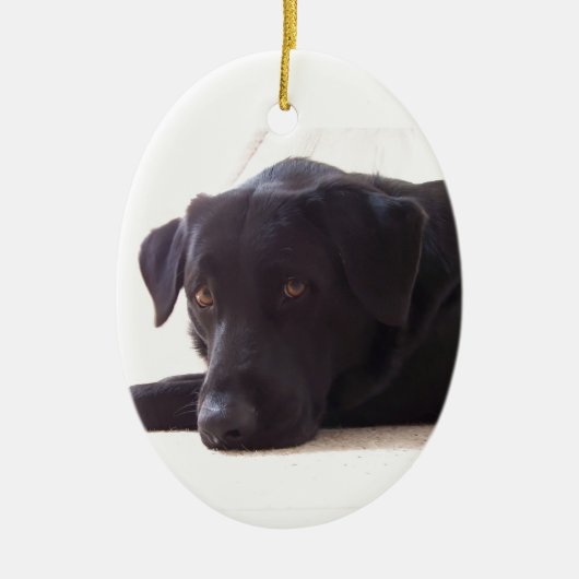 labrador keramisch ornament (Voorkant)