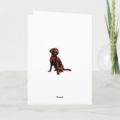 Labrador-kerstkaart Feestdagen Kaart (Achterkant)