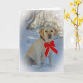 Labrador Kerstmis Kaart (Gele Bloem)