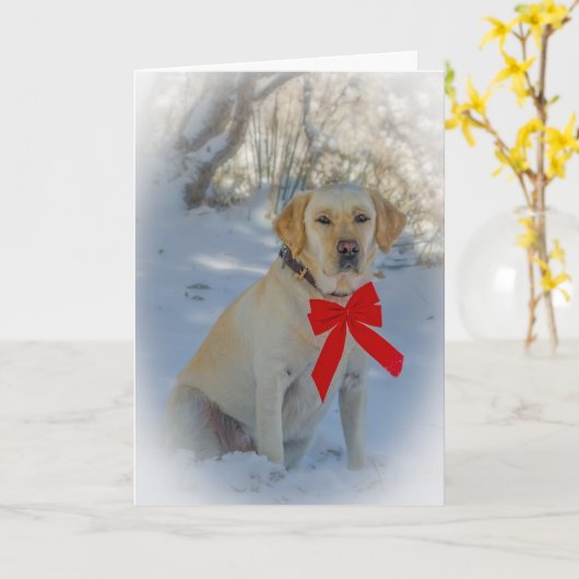 Labrador Kerstmis Kaart (Gele Bloem)