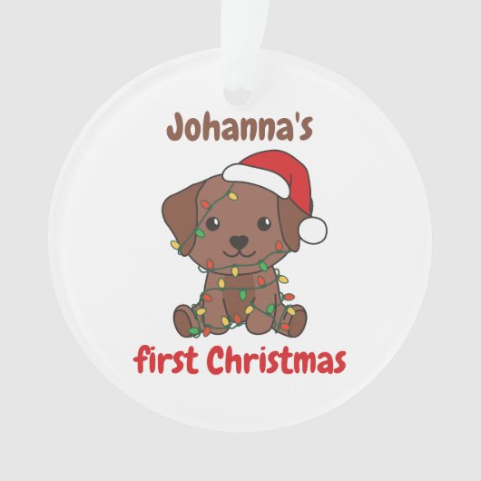 Labrador Kerstwinter, eerste kerstdag Ornament (voorkant)