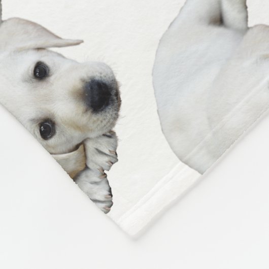 Labrador kijkt naar boven fleece deken (Hoek)