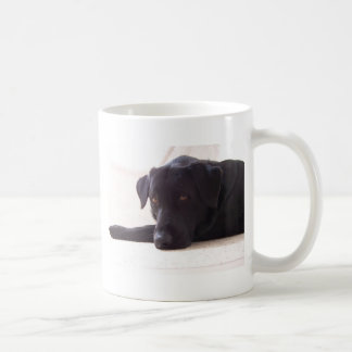 labrador koffiemok