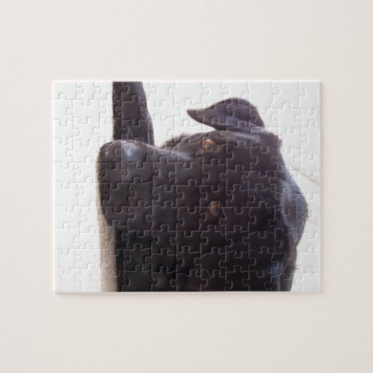 labrador legpuzzel (Horizontaal)