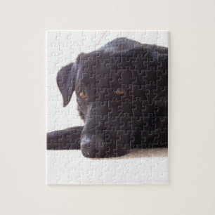 labrador legpuzzel