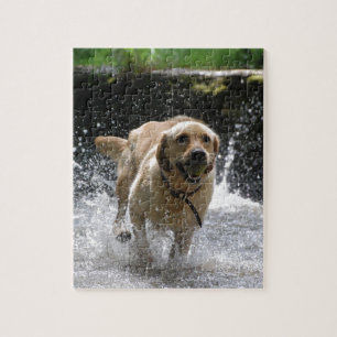 Labrador Legpuzzel
