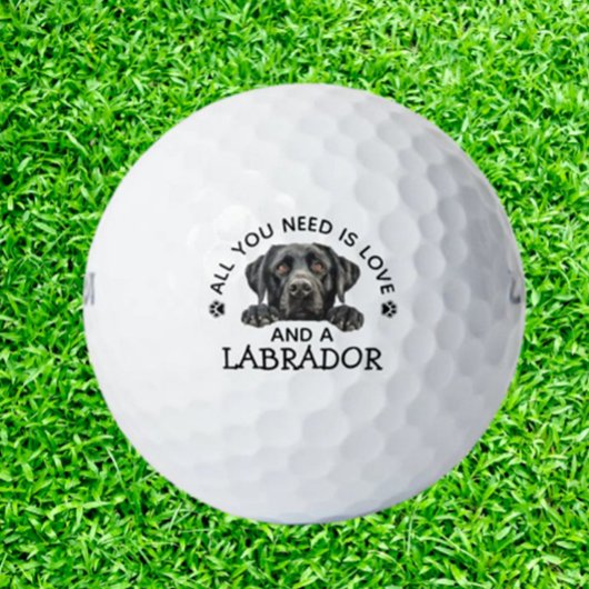 Labrador-Lievende Golfer Golfballen
