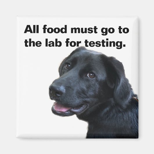 Labrador Love Magneet (Voorkant)