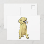Labrador Madeliefje Briefkaart (Voorkant / Achterkant)