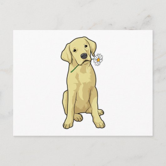 Labrador Madeliefje Briefkaart (Voorkant)