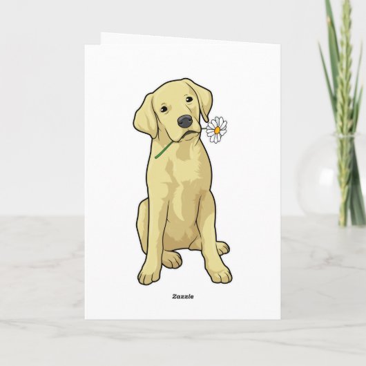 Labrador madeliefje kaart (Achterkant)