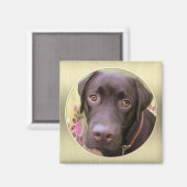 Labrador Magnet (Voorkant / Achterkant)