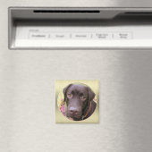 Labrador Magnet (Insitu (Vaatwasser))