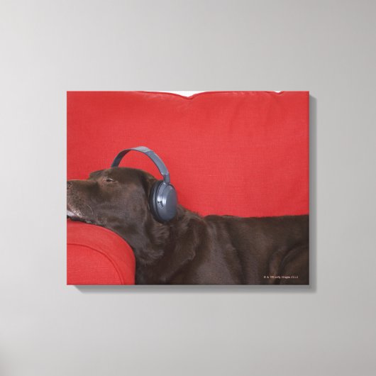 Labrador met hoofdtelefoon op de bank canvas afdruk (Voorkant)