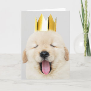Labrador MET KROON Gevouwen Wenskaart Kaart