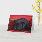 Labrador met rozen kaart (Gele Bloem)