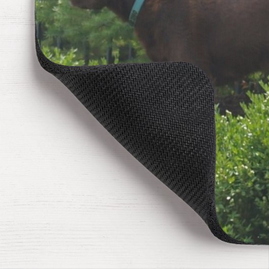 Labrador-muispad Muismat (Hoek)