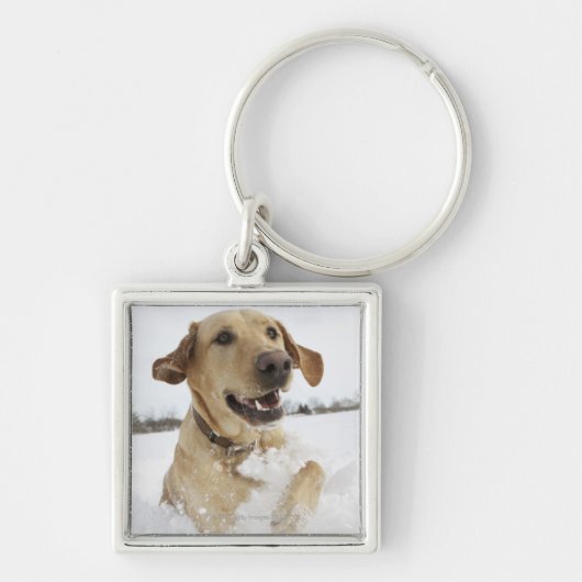 Labrador-opvrager die door diepe sneeuw springt sleutelhanger (Voorkant)