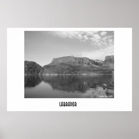 Labrador Poster (Voorkant)