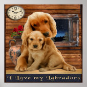Labrador-posters Poster (Voorkant)